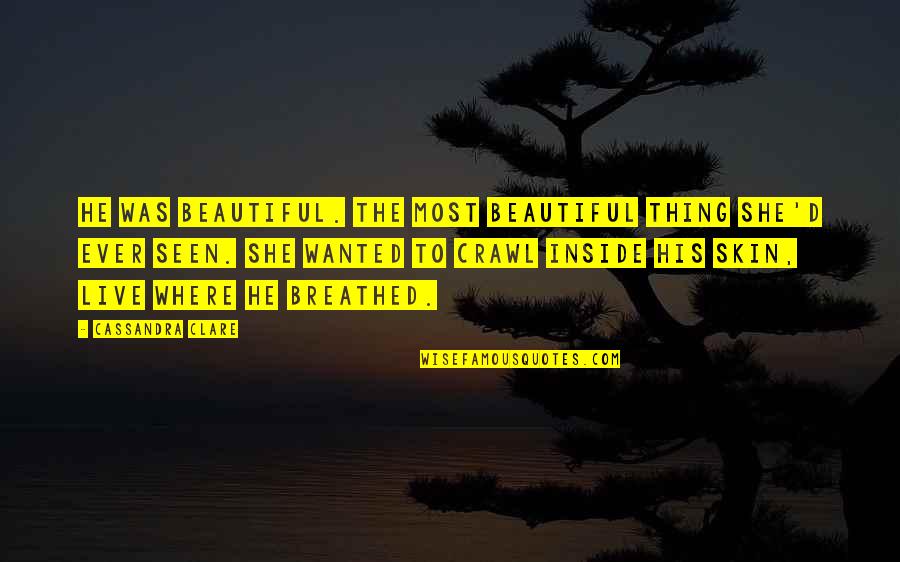 Beautiful Skin Quotes By Cassandra Clare: He was beautiful. The most beautiful thing she'd