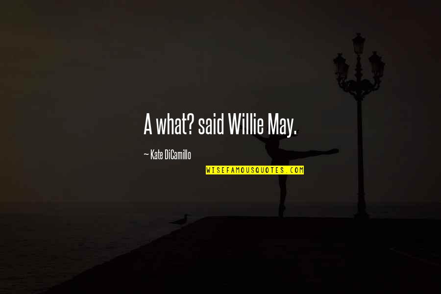 Beautiful Skyline Quotes By Kate DiCamillo: A what? said Willie May.