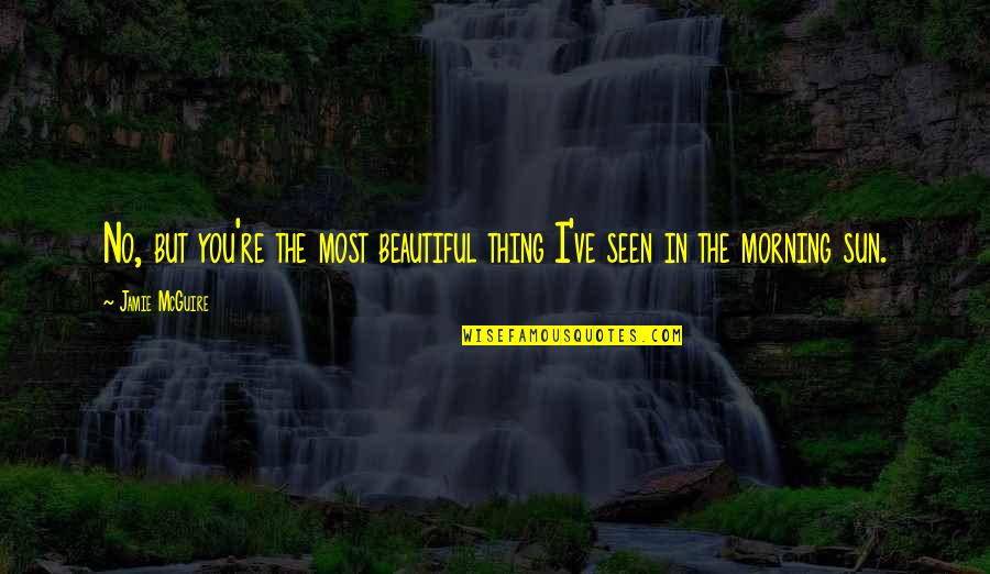 Beautiful Sun Quotes By Jamie McGuire: No, but you're the most beautiful thing I've