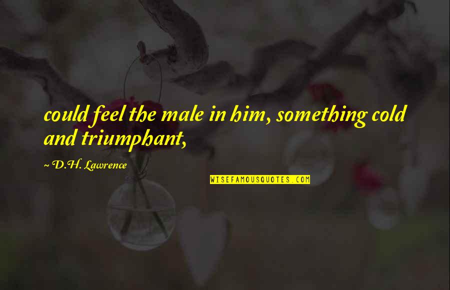 Beautiful Themes Quotes By D.H. Lawrence: could feel the male in him, something cold