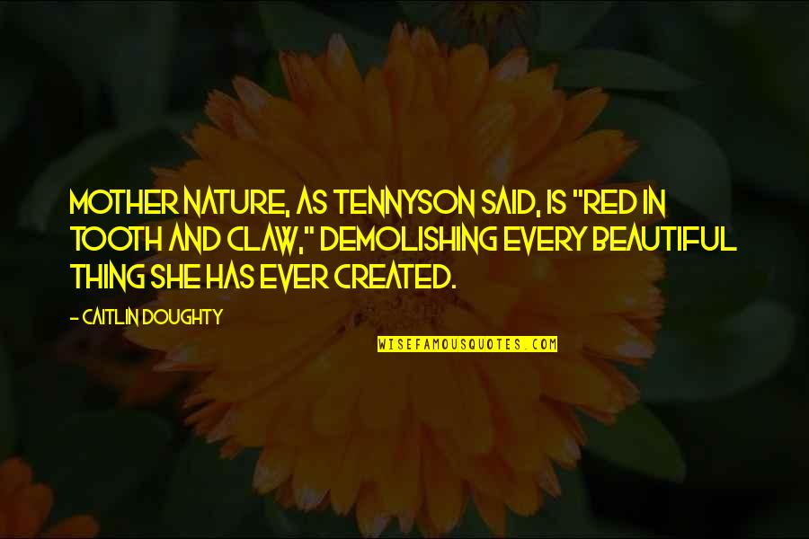 Beautiful Thing Quotes By Caitlin Doughty: Mother Nature, as Tennyson said, is "red in Beautiful Thing Quotes By Caitlin Doughty: Mother Nature, as Tennyson said, is "red in
