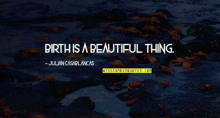 Beautiful Thing Quotes By Julian Casablancas: Birth is a beautiful thing. Beautiful Thing Quotes By Julian Casablancas: Birth is a beautiful thing.