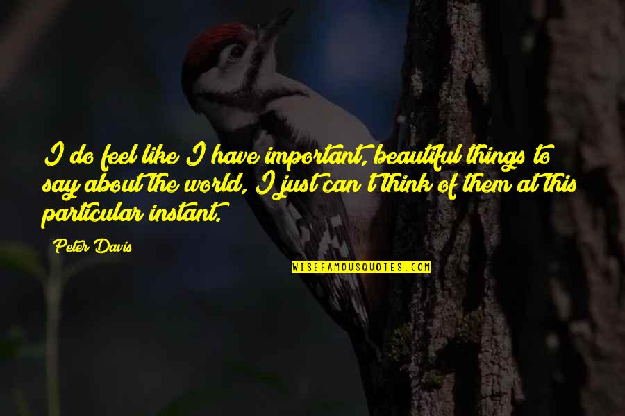 Beautiful Things About Life Quotes By Peter Davis: I do feel like I have important, beautiful