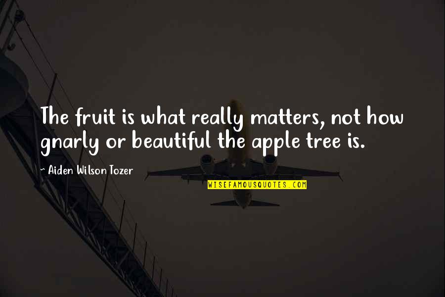 Beautiful Tree Quotes By Aiden Wilson Tozer: The fruit is what really matters, not how Beautiful Tree Quotes By Aiden Wilson Tozer: The fruit is what really matters, not how