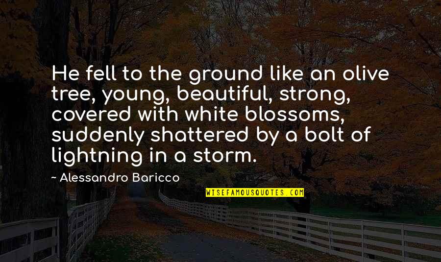 Beautiful Tree Quotes By Alessandro Baricco: He fell to the ground like an olive Beautiful Tree Quotes By Alessandro Baricco: He fell to the ground like an olive
