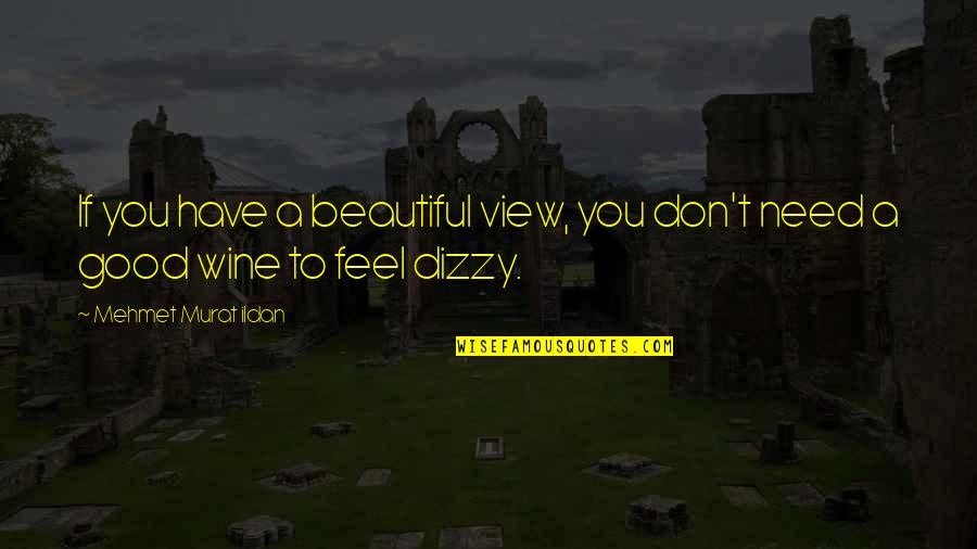 Beautiful View Quotes By Mehmet Murat Ildan: If you have a beautiful view, you don't