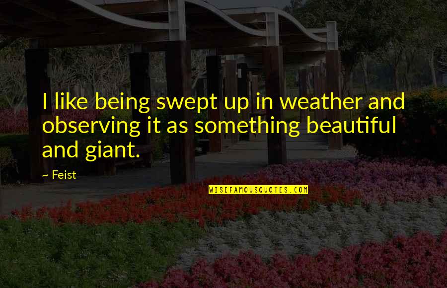 Beautiful Weather Quotes By Feist: I like being swept up in weather and