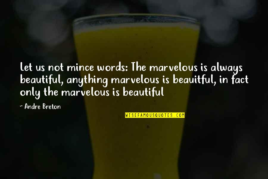 Beautiful Words Quotes By Andre Breton: Let us not mince words: The marvelous is