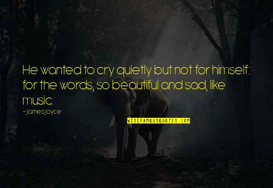 Beautiful Words Quotes By James Joyce: He wanted to cry quietly but not for