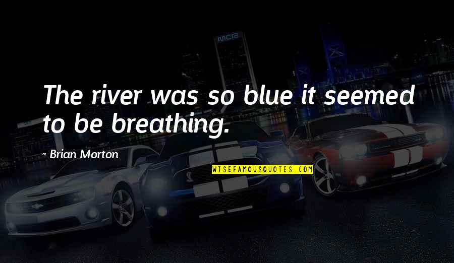 Beautiful Writing Quotes By Brian Morton: The river was so blue it seemed to