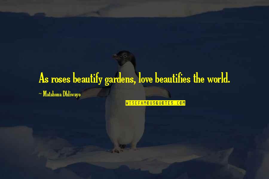 Beautify Quotes By Matshona Dhliwayo: As roses beautify gardens, love beautifies the world.