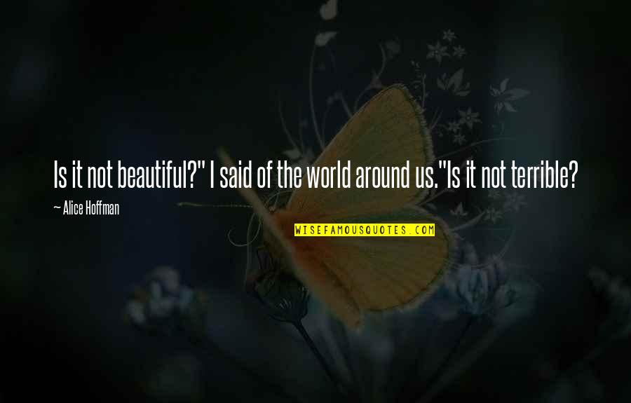 Beauty All Around Us Quotes By Alice Hoffman: Is it not beautiful?" I said of the