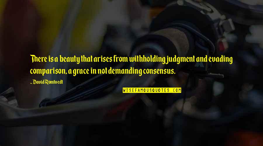 Beauty And Grace Quotes By David Romtvedt: There is a beauty that arises from withholding