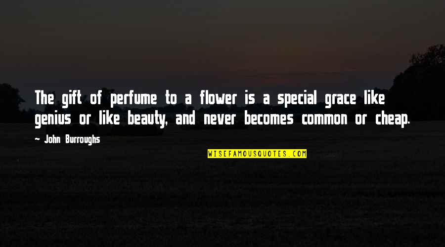 Beauty And Grace Quotes By John Burroughs: The gift of perfume to a flower is