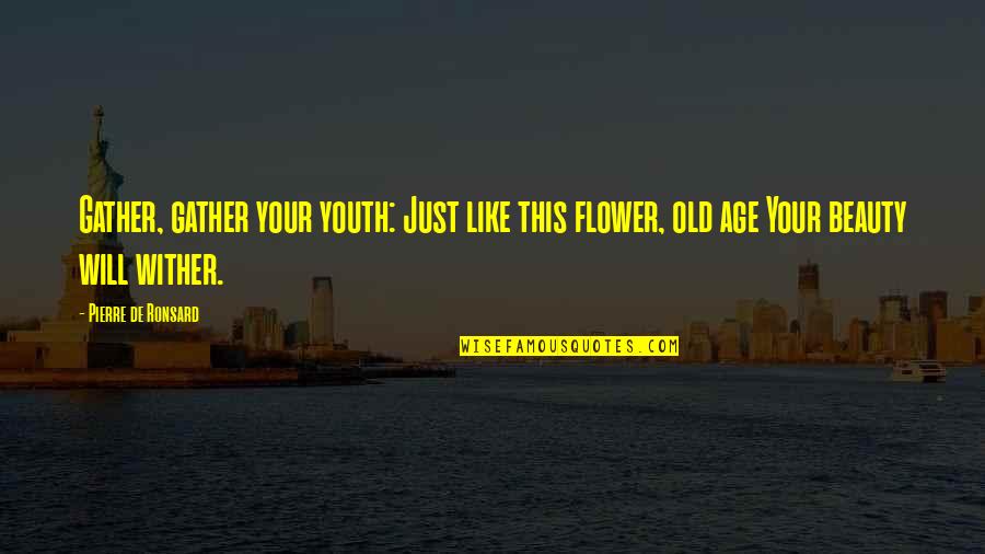 Beauty And Old Age Quotes By Pierre De Ronsard: Gather, gather your youth: Just like this flower,