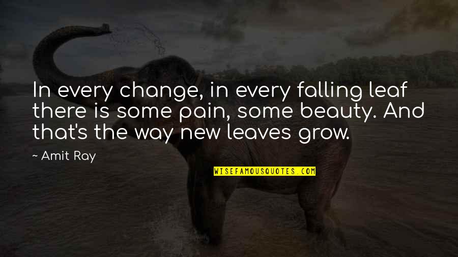 Beauty And Pain Quotes By Amit Ray: In every change, in every falling leaf there