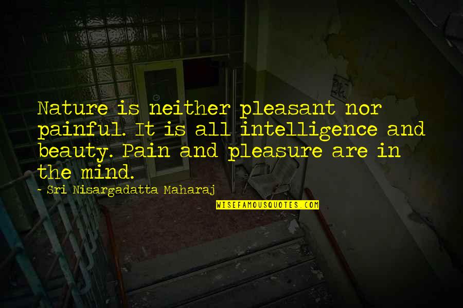 Beauty And Pain Quotes By Sri Nisargadatta Maharaj: Nature is neither pleasant nor painful. It is