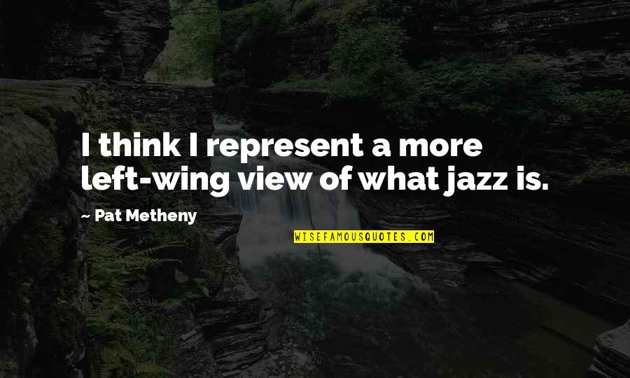 Beauty And Self Confidence Quotes By Pat Metheny: I think I represent a more left-wing view