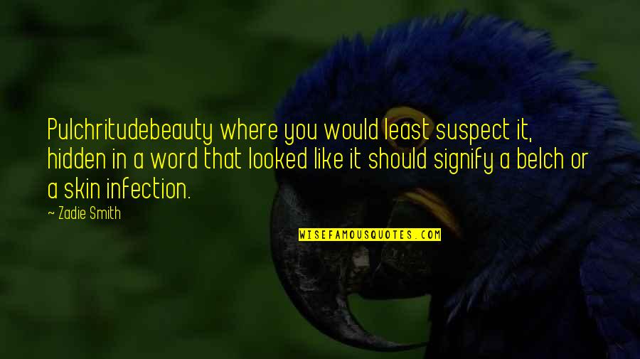 Beauty And Skin Quotes By Zadie Smith: Pulchritudebeauty where you would least suspect it, hidden