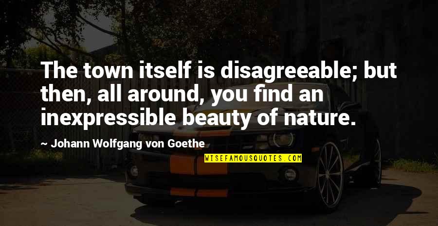 Beauty Around You Quotes By Johann Wolfgang Von Goethe: The town itself is disagreeable; but then, all