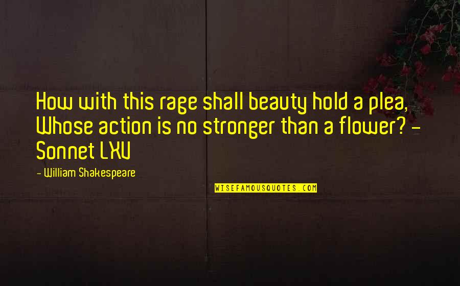 Beauty By Shakespeare Quotes By William Shakespeare: How with this rage shall beauty hold a