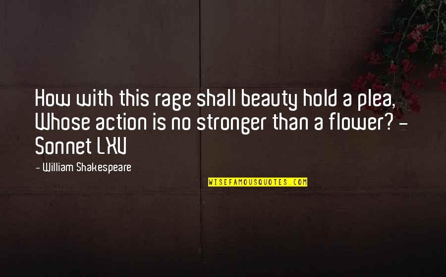 Beauty By William Shakespeare Quotes By William Shakespeare: How with this rage shall beauty hold a