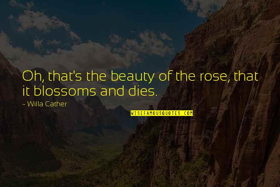 Beauty Dies Quotes By Willa Cather: Oh, that's the beauty of the rose, that