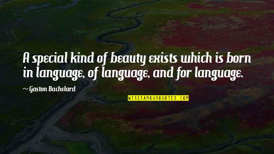 Beauty Exists Quotes By Gaston Bachelard: A special kind of beauty exists which is