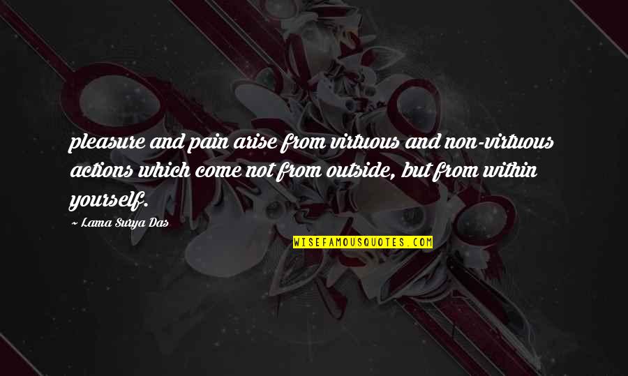 Beauty Icon Quotes By Lama Surya Das: pleasure and pain arise from virtuous and non-virtuous
