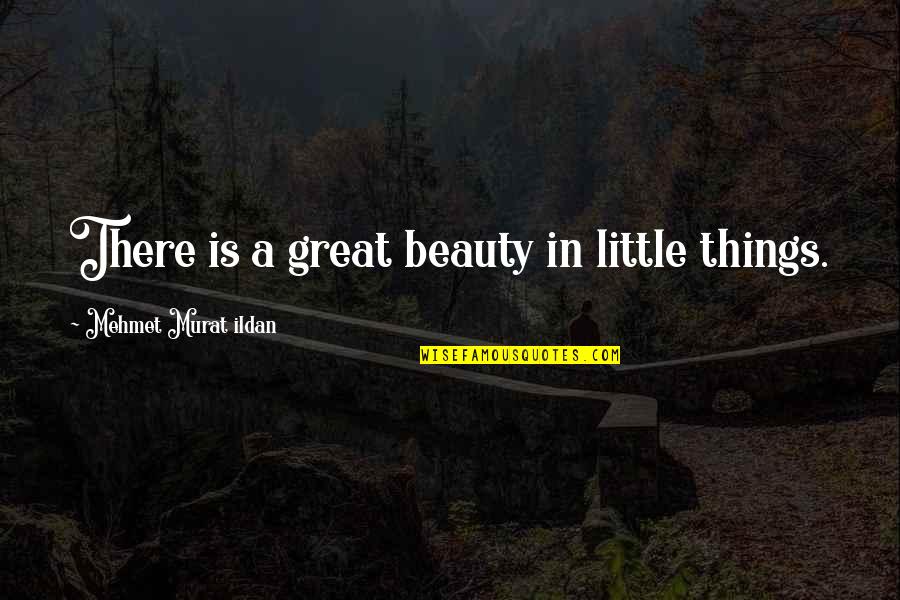 Beauty In Little Things Quotes By Mehmet Murat Ildan: There is a great beauty in little things.