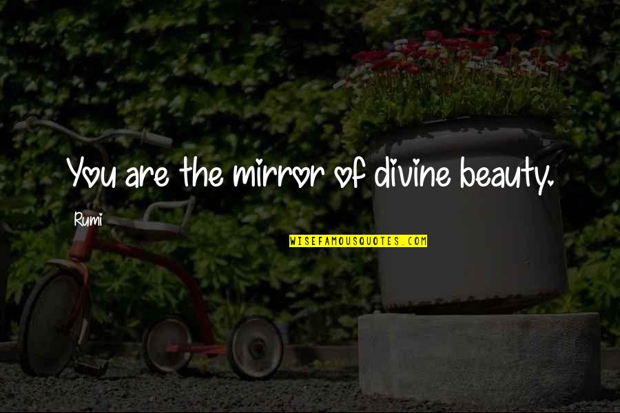 Beauty In Mirrors Quotes By Rumi: You are the mirror of divine beauty.