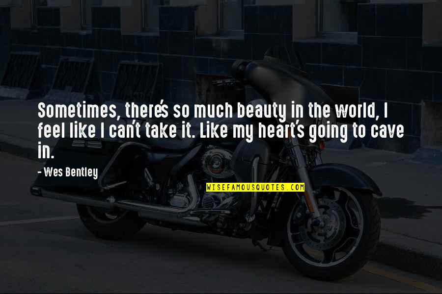 Beauty In The Heart Quotes By Wes Bentley: Sometimes, there's so much beauty in the world,