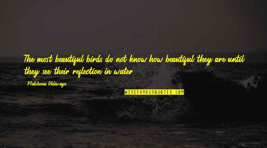 Beauty In The Mirror Quotes By Matshona Dhliwayo: The most beautiful birds do not know how
