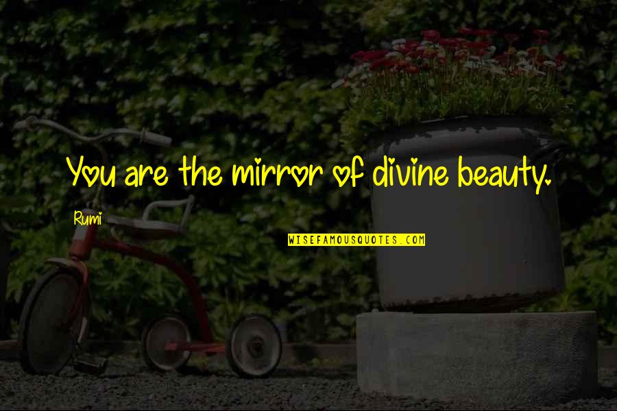 Beauty In The Mirror Quotes By Rumi: You are the mirror of divine beauty.