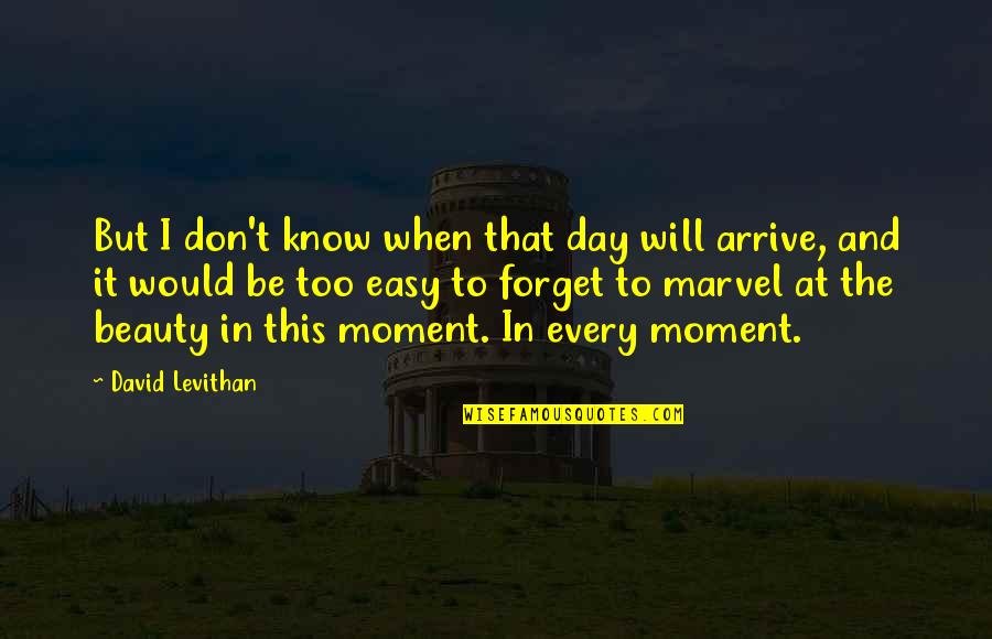 Beauty In The Moment Quotes By David Levithan: But I don't know when that day will