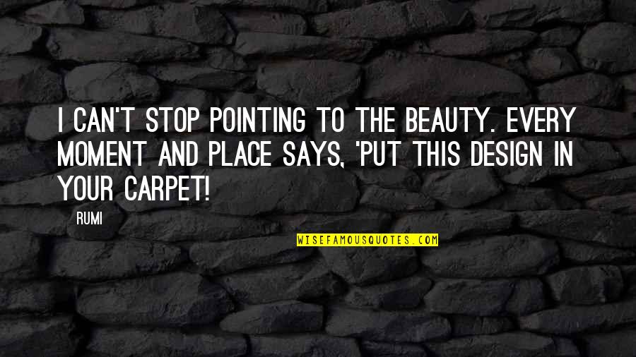 Beauty In The Moment Quotes By Rumi: I can't stop pointing to the beauty. Every