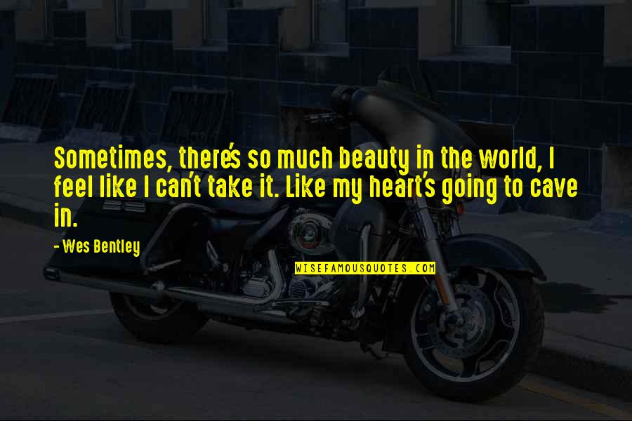 Beauty In The World Quotes By Wes Bentley: Sometimes, there's so much beauty in the world,
