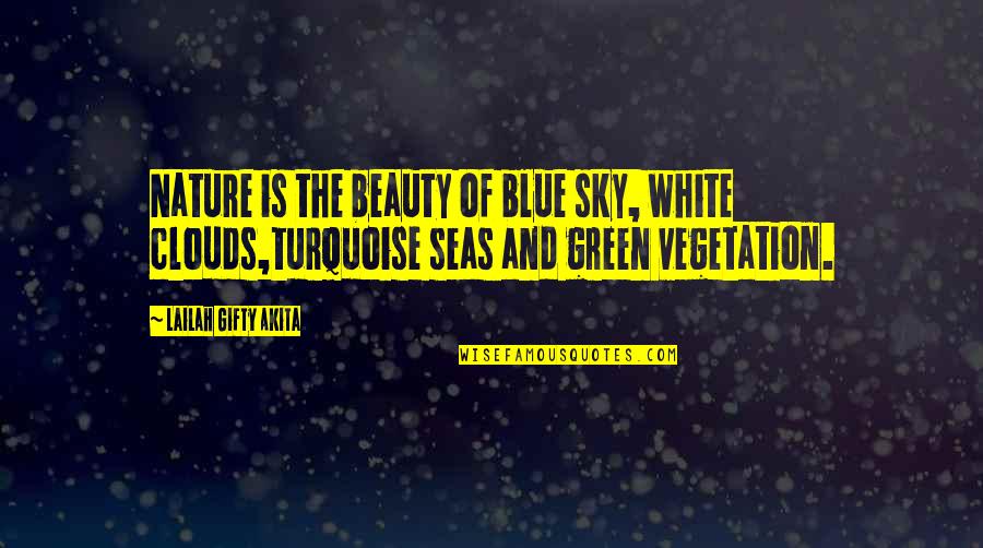 Beauty In White Quotes By Lailah Gifty Akita: Nature is the beauty of blue sky, white