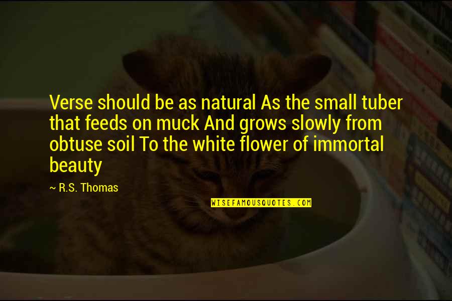 Beauty In White Quotes By R.S. Thomas: Verse should be as natural As the small
