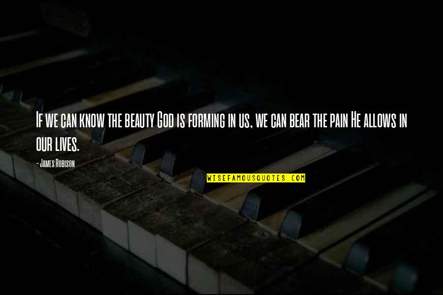 Beauty Is Pain Quotes By James Robison: If we can know the beauty God is