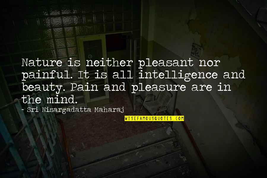 Beauty Is Pain Quotes By Sri Nisargadatta Maharaj: Nature is neither pleasant nor painful. It is