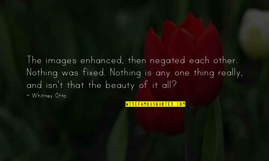 Beauty Isn Quotes By Whitney Otto: The images enhanced, then negated each other. Nothing