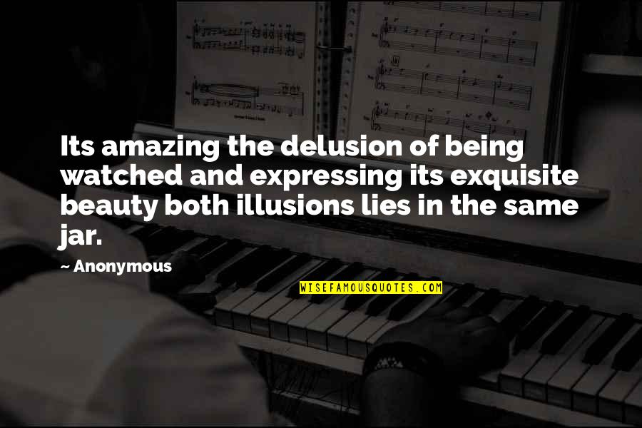 Beauty Lies In Quotes By Anonymous: Its amazing the delusion of being watched and