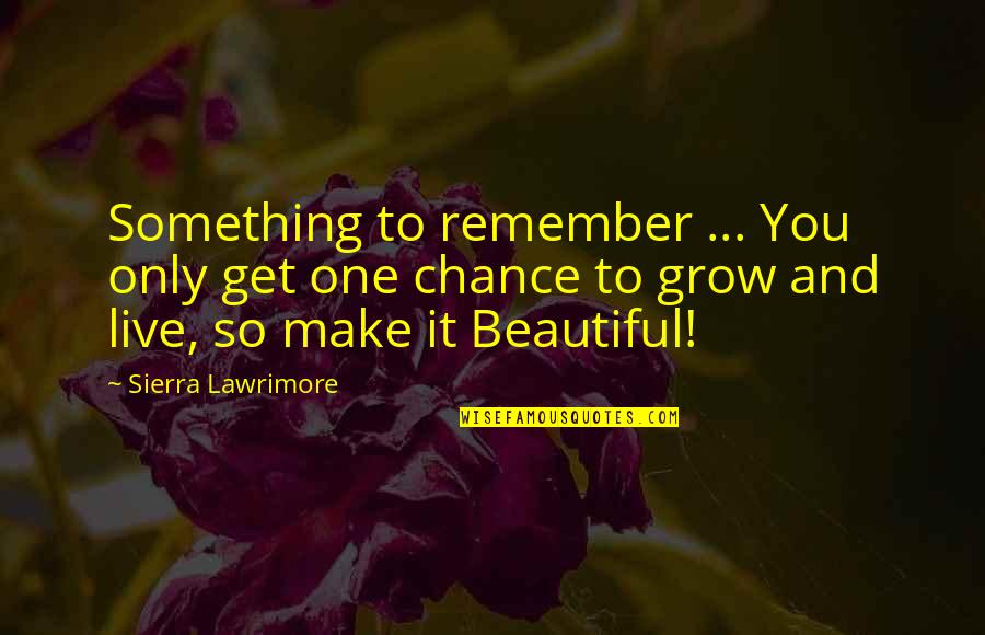 Beauty Love And Life Quotes By Sierra Lawrimore: Something to remember ... You only get one