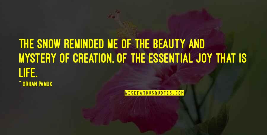 Beauty Of Creation Quotes By Orhan Pamuk: The snow reminded me of the beauty and