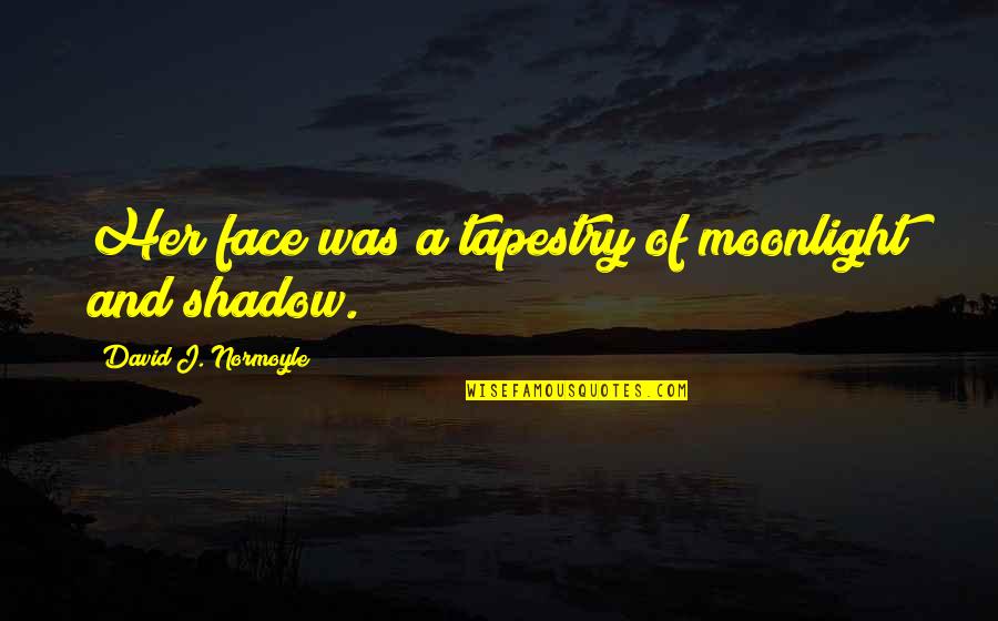 Beauty Of Her Quotes By David J. Normoyle: Her face was a tapestry of moonlight and