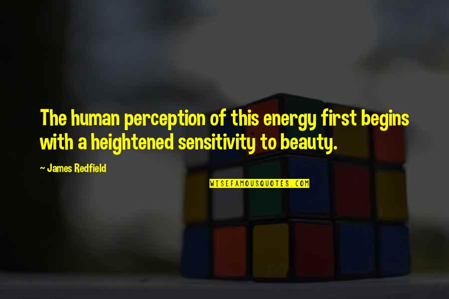 Beauty Of Human Quotes By James Redfield: The human perception of this energy first begins Beauty Of Human Quotes By James Redfield: The human perception of this energy first begins