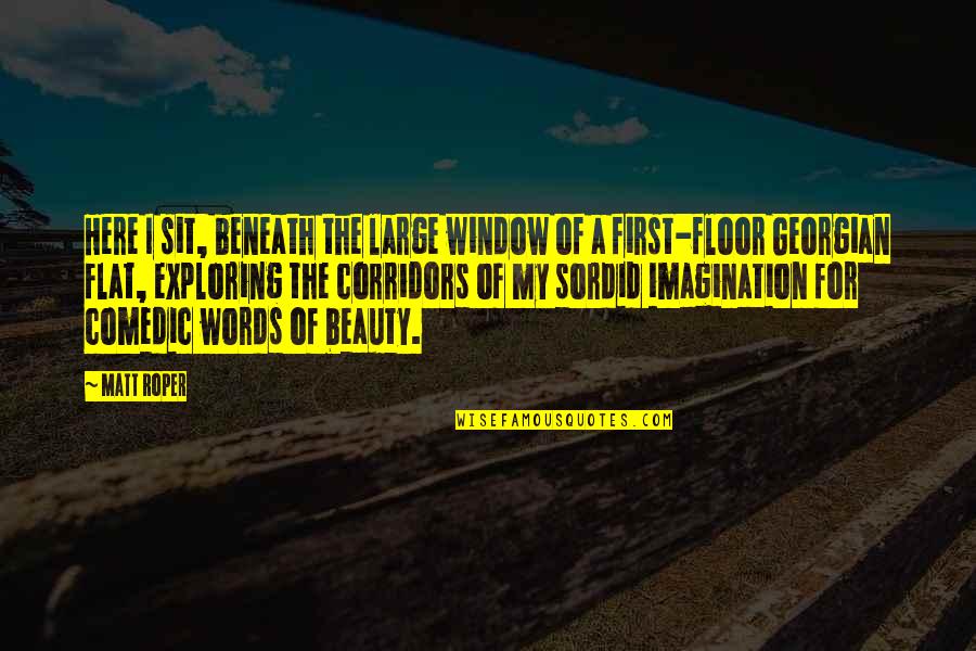 Beauty Of Imagination Quotes By Matt Roper: Here I sit, beneath the large window of