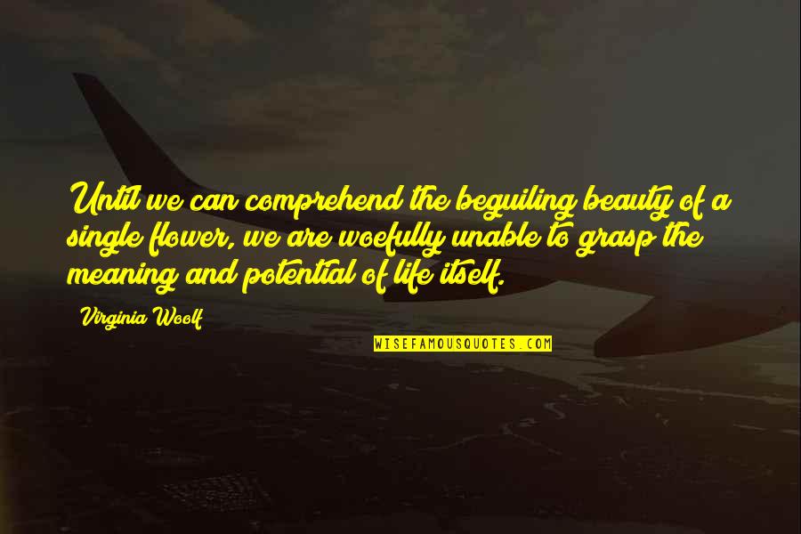 Beauty Of Life Quotes By Virginia Woolf: Until we can comprehend the beguiling beauty of