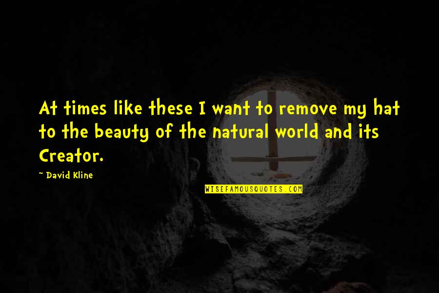 Beauty Of Nature World Quotes By David Kline: At times like these I want to remove